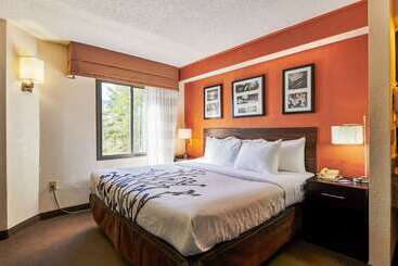 Bob Hotels Tallahassee   Boutique On Budget