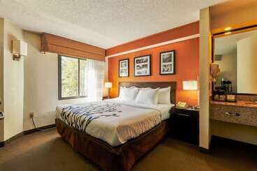 Bob Hotels Tallahassee   Boutique On Budget