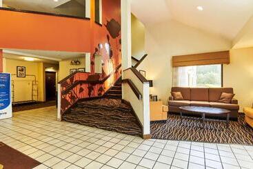 Bob Hotels Tallahassee   Boutique On Budget