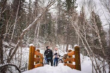 استراحتگاه Spearfish Canyon Lodge