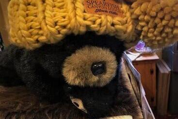 استراحتگاه Spearfish Canyon Lodge