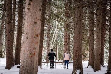 استراحتگاه Spearfish Canyon Lodge