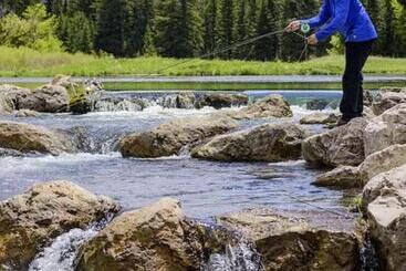 استراحتگاه Spearfish Canyon Lodge