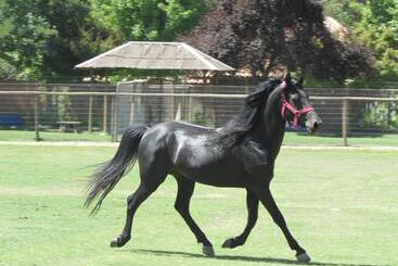 تختخواب و صبحانه Casa Los Ciervos