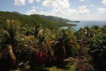 Coconut Tree Villa