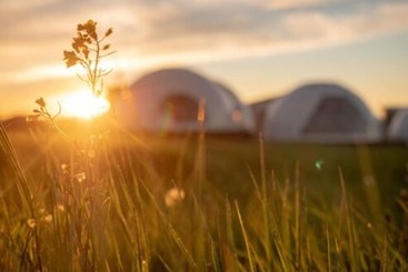 هتل Garden Domes