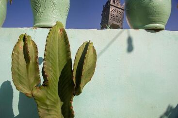 Amayour Surf Hostel - Taghazout