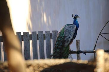 펜션 Dar Tawarta Guest House Dakhla