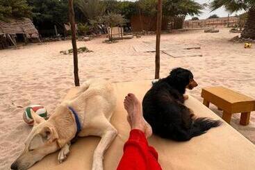 펜션 Dar Tawarta Guest House Dakhla