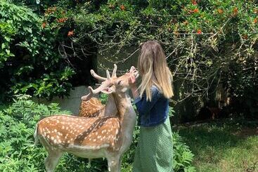 استراحتگاه Polonezköy Country Club & Accommodation In The Wildlife Park!