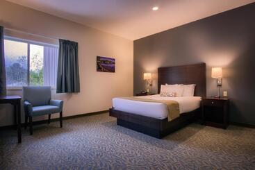هتل Sun & Ski Inn And Suites