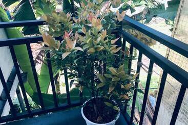 پانسیون Villa Jasmine Hikkaduwa