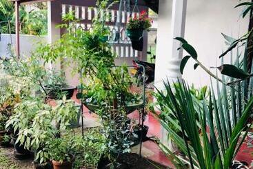 پانسیون Villa Jasmine Hikkaduwa