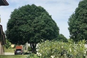 استراحتگاه La Plumerias