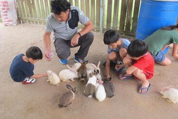 هتل Uk Farm Agro Resort