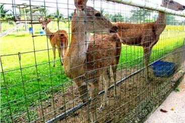 هتل Uk Farm Agro Resort