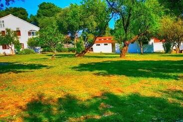 Apartmani Kate