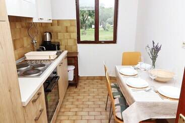 Apartmani Kate