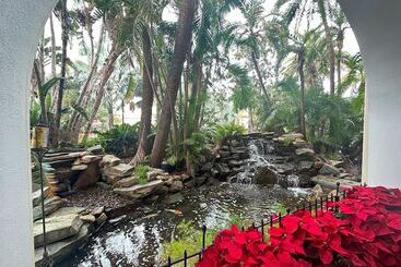 Tahitian Inn Boutique Hotel Tampa