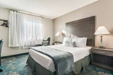 مُتل American Inn & Suites Metro Airport