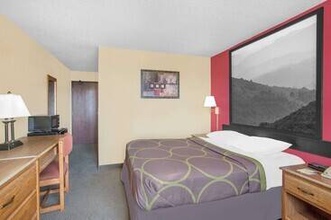 汽车旅馆  Super 8 By Wyndham Roanoke Va