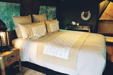 هتل The Wild Blue Lodge Safari & Spa