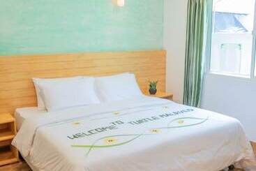 Turtle Maldives   Your Gateway To The Beach & Marine Adventures Await! - Omadhoo