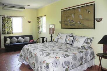 Casa Gatos