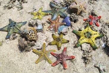 هتل Chapwani Island