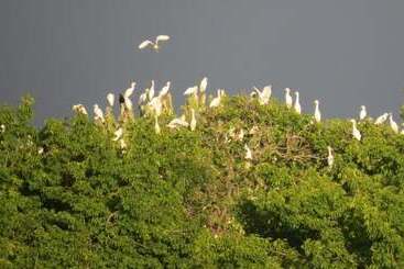 هتل Chapwani Island