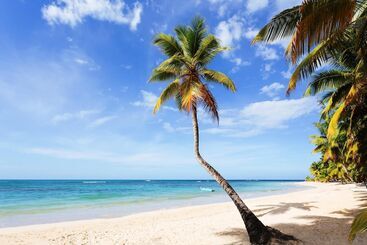 Condo Hotel Playa Las Ballenas
