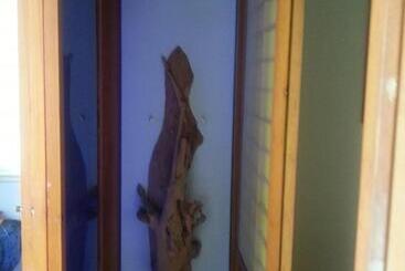پانسیون Art Taiwan Homestay