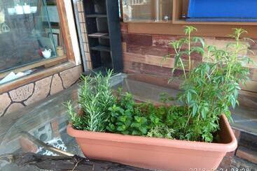 پانسیون Art Taiwan Homestay