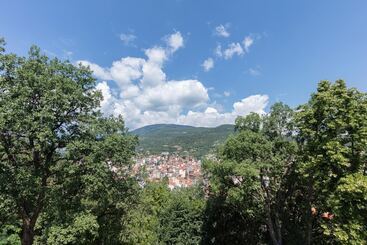 هتل The Lynx Mountain Resort
