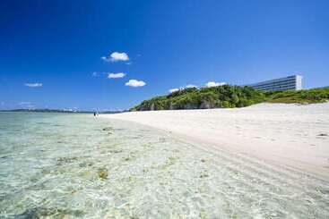 هتل Hilton Okinawa Sesoko Resort