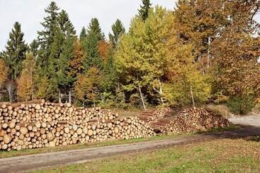 游客公寓 Flat Near The Ski Area In Urberg