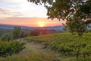 مبيت وإفطار La Couleur Des Vignes