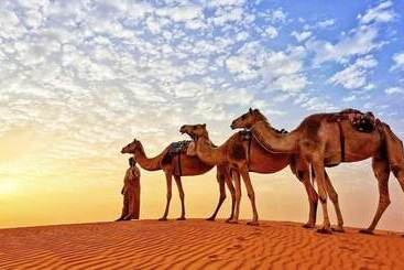 هتل Alsarmadi Desert Camp