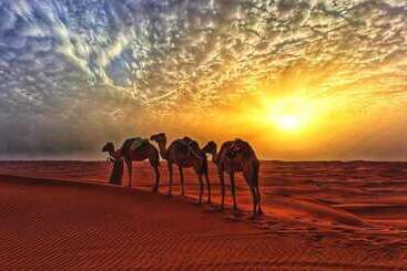 هتل Alsarmadi Desert Camp