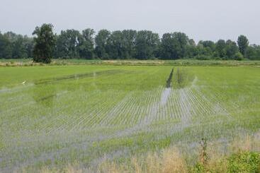 Agriturismo Le Risaie