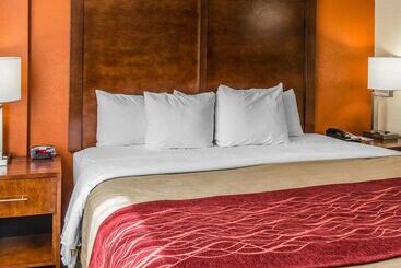 هتل Comfort Inn & Suites Lakeland North I4