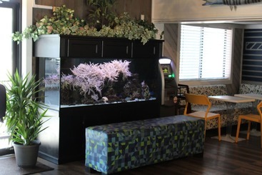 هتل Village Inn Destin