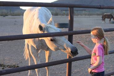 هتل White Stallion Ranch