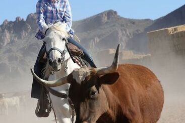هتل White Stallion Ranch