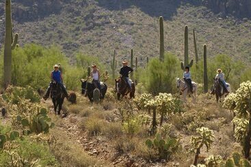 هتل White Stallion Ranch