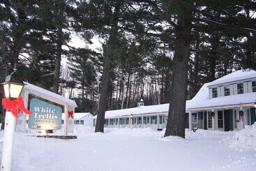 White Trellis Motel