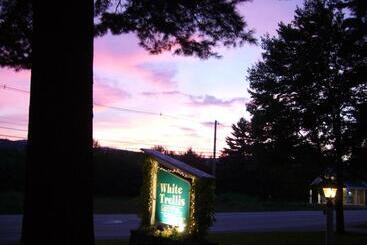 White Trellis Motel