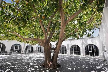فندق Palmyra Club Nabeul