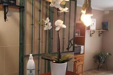 هتل Hostal Los Escudos