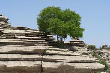 هتل Molino De Saydo